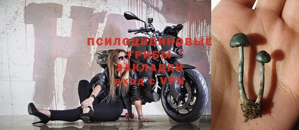 скорость Алзамай