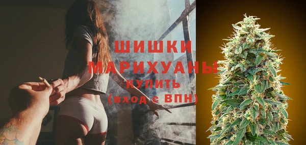 PSILOCYBIN Рославль