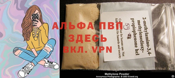 гашик Алексин