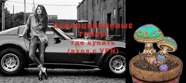 амф Абаза