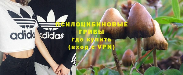 амф Абаза