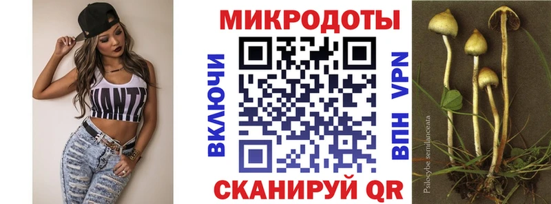 Псилоцибиновые грибы MAGIC MUSHROOMS  MEGA маркетплейс  Добрянка  цены наркотик 